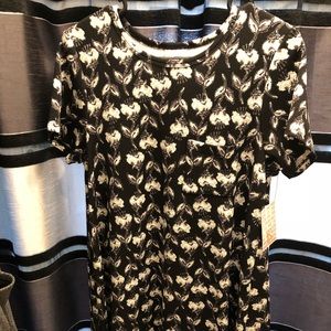 BNWT LulaRoe Carly XS